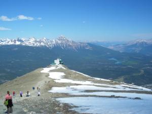 View from Whistlers' Mtn Jasper National Park