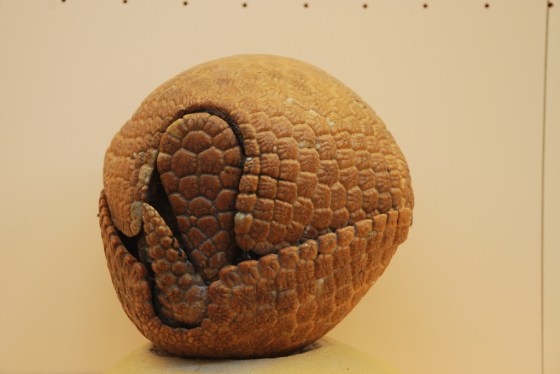 2949548942_beb856d564_b